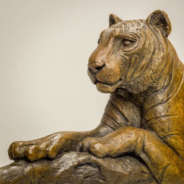 Raj at Rest (Tiger Resting Drowsing on Branch statue) - Image 5