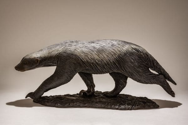 Survivor (Bronze Honey Badger or Ratel sculpture) - Image 4