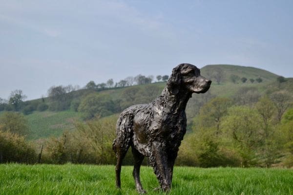 Walking English Setter (Bronze Resin Setter Dog Statue) - Image 5