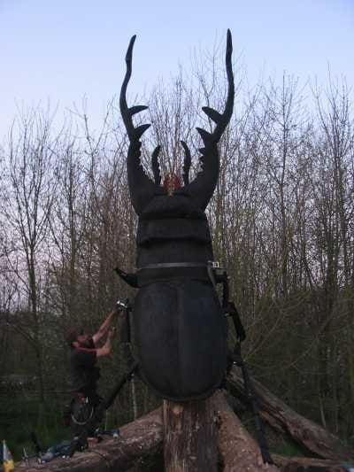Chainsaw-carved wooden stag beetle sculpture by Ad Tree Pirate, made from reclaimed timber.