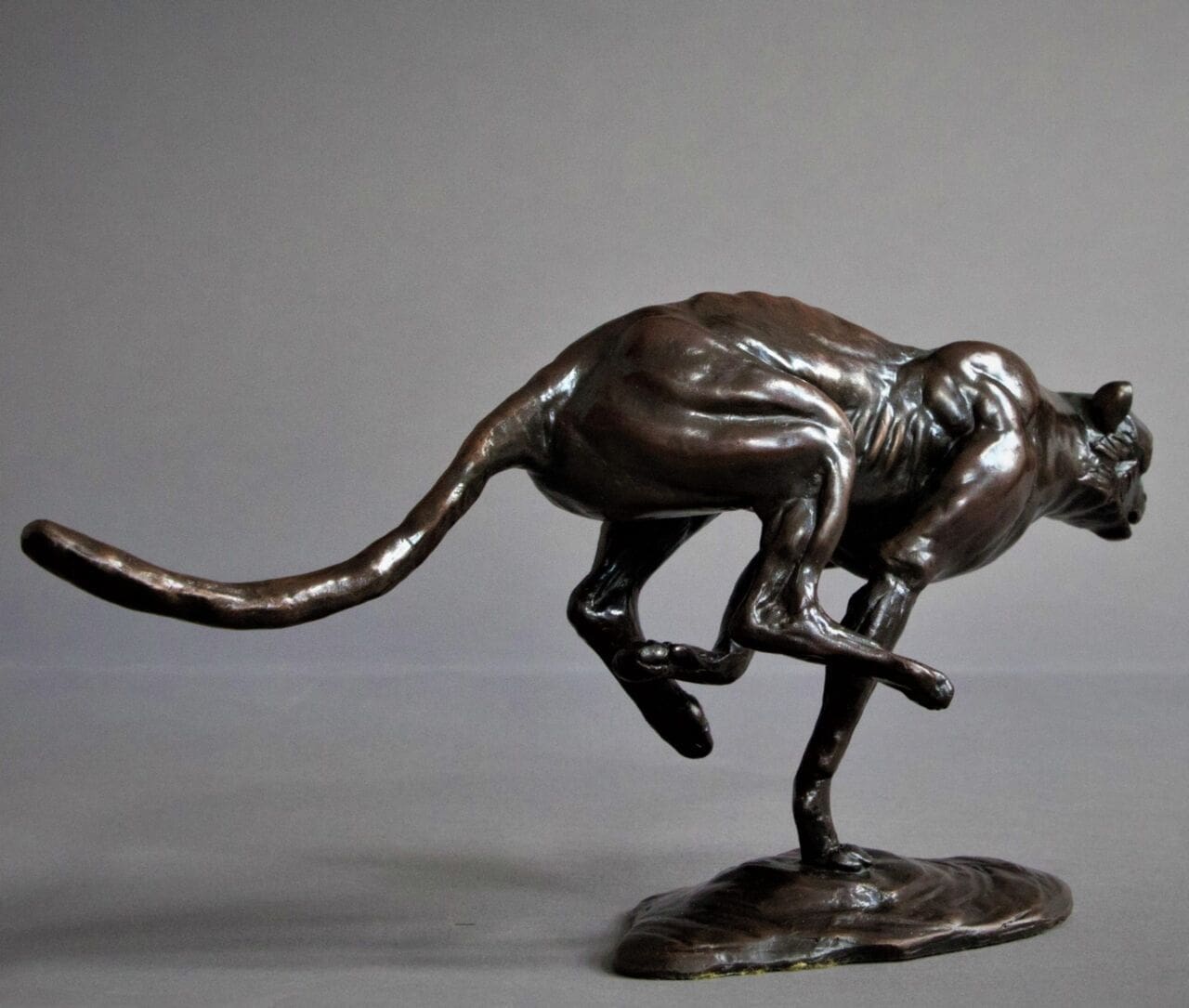 Small bronze running cheetah sculpture by Adrian Flanagan for indoor display