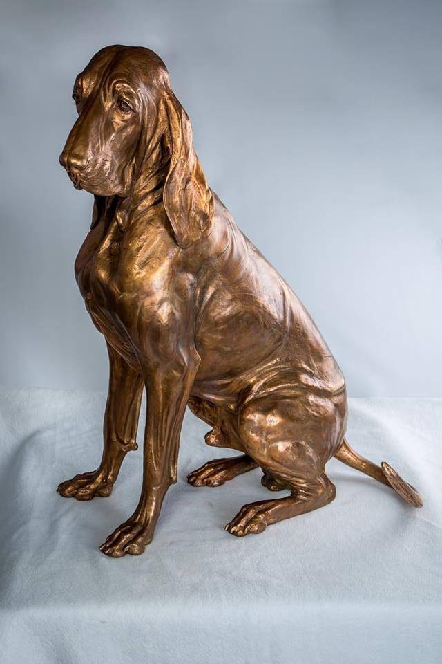 Bronze Sitting Bracco Italian dog sculpture by Anna Tölgyesi Poós