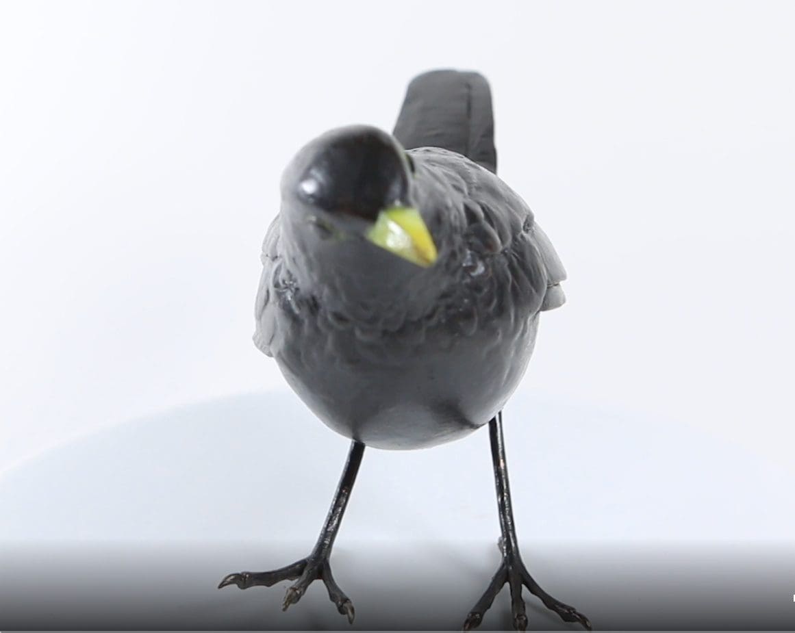 Lifelike blackbird sculpture in foundry bronze by Steve Boss, small indoor bird statue.