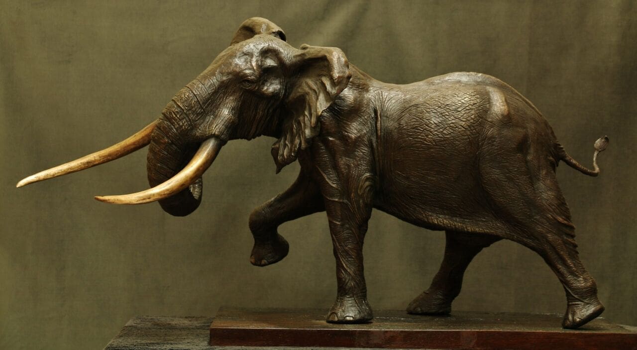 Bronze African elephant bull tusker sculpture by Brandon Borgelt