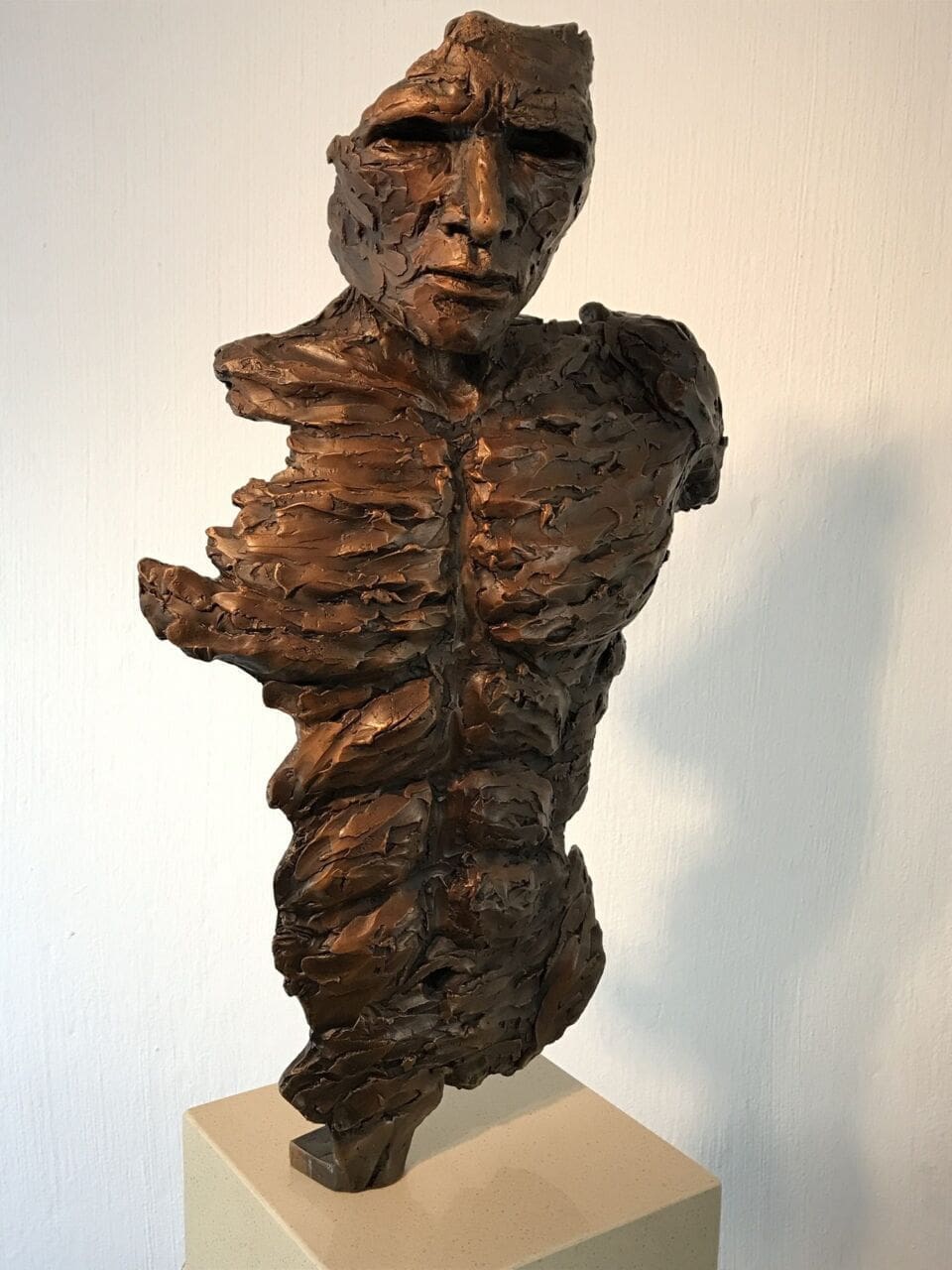 Abstract bronze torso sculpture titled Unexamined Life by Brandon Borgelt