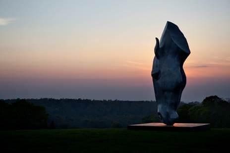 Horse head drinking sculpture by Nic Fiddian Green