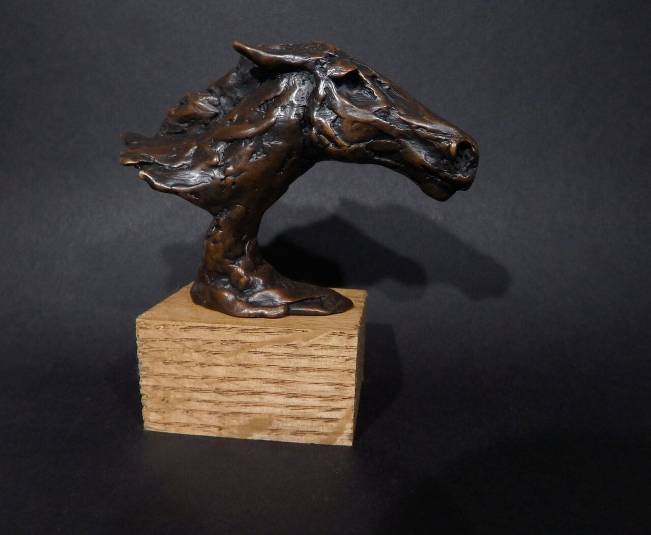 Horse Head II small bronze equine portrait sculpture by Elliot Channer