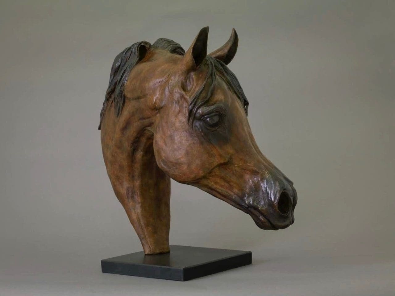 Bronze Arabian horse portrait sculpture by Jenna Gearing