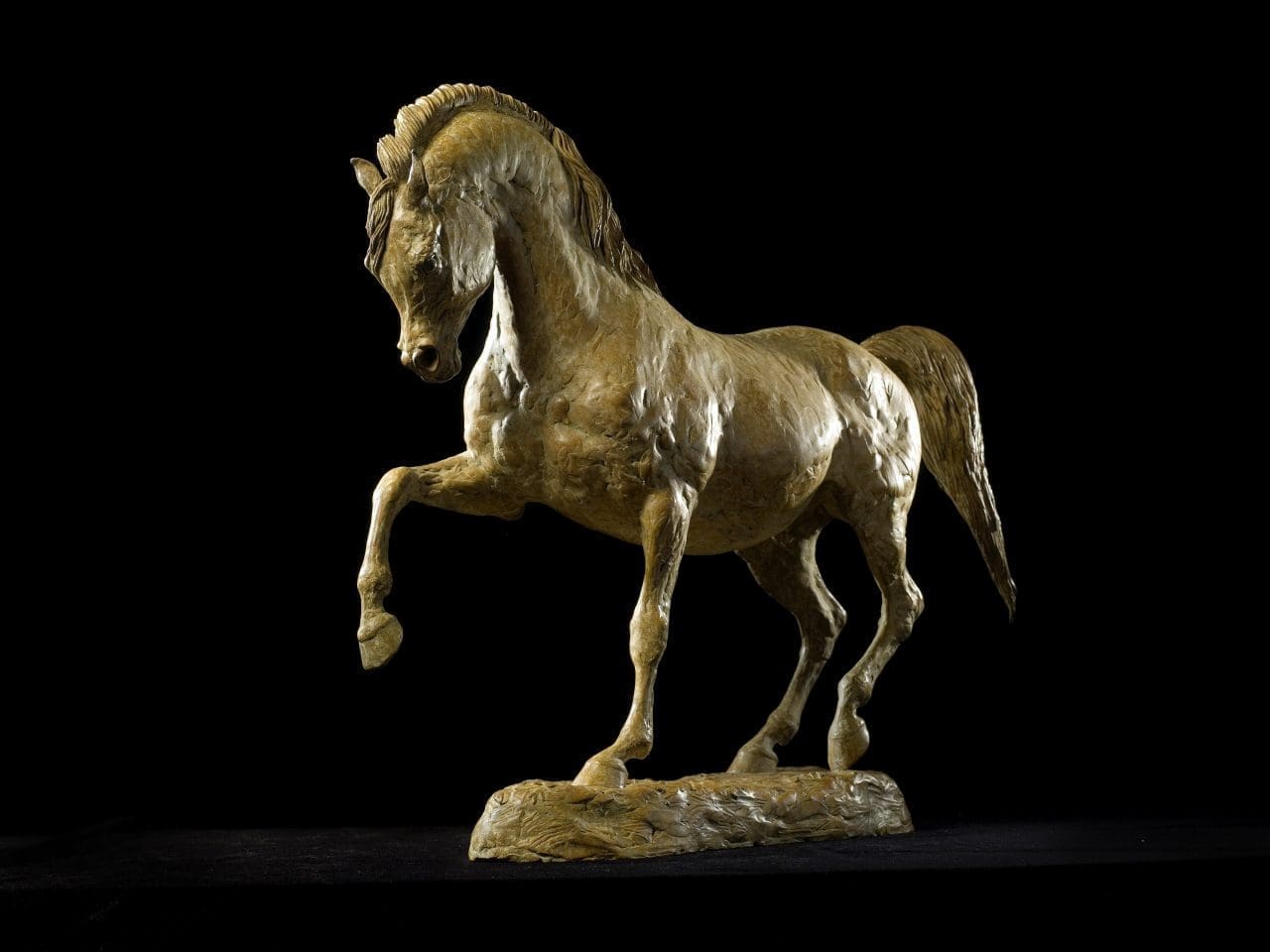 Bronze Arab horse piaffe dressage sculpture by Julia Wager.