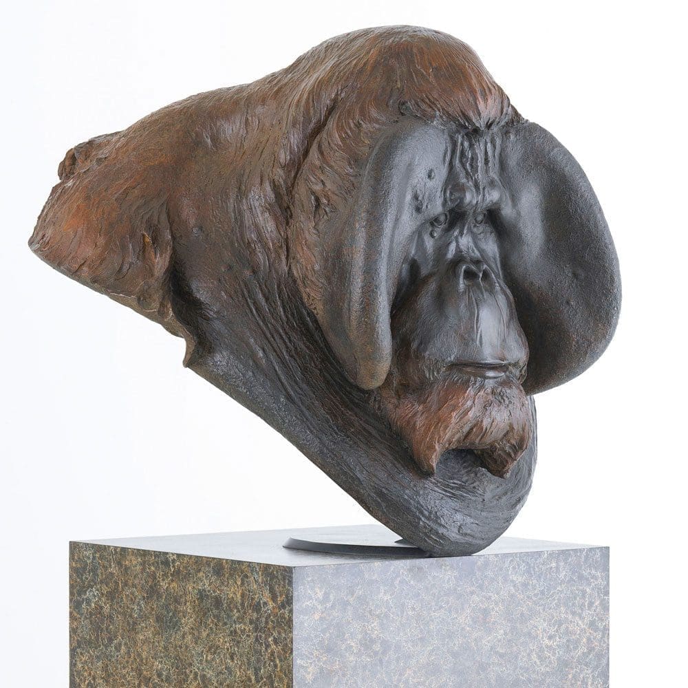 Bronze orangutan bust sculpture Orangutan Old Man of the Forest II by Nick Bibby
