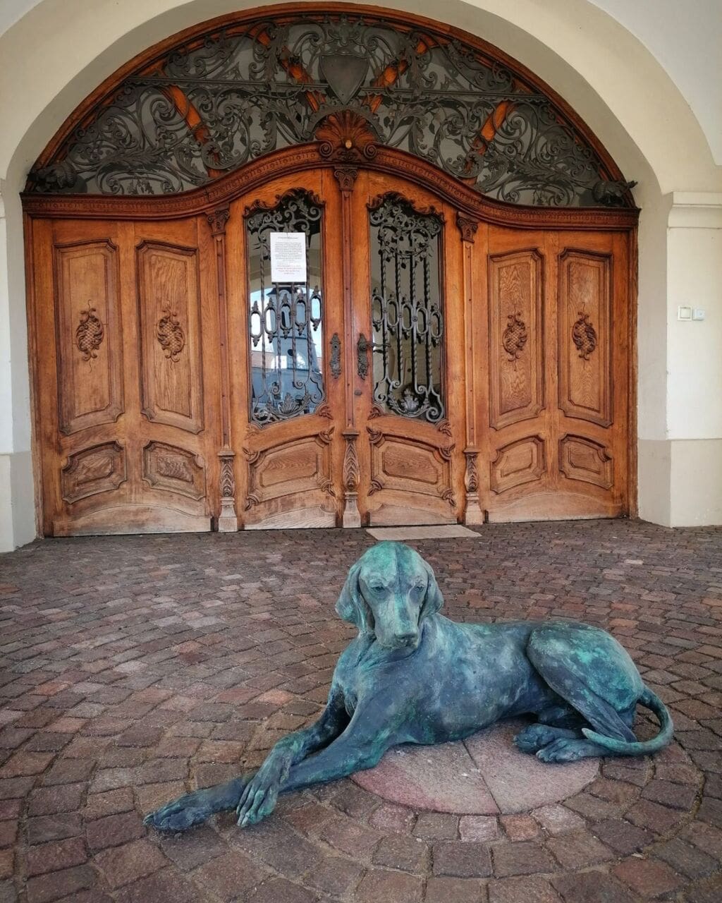 Life size bronze Hungarian Vizsla dog sculpture lying down.