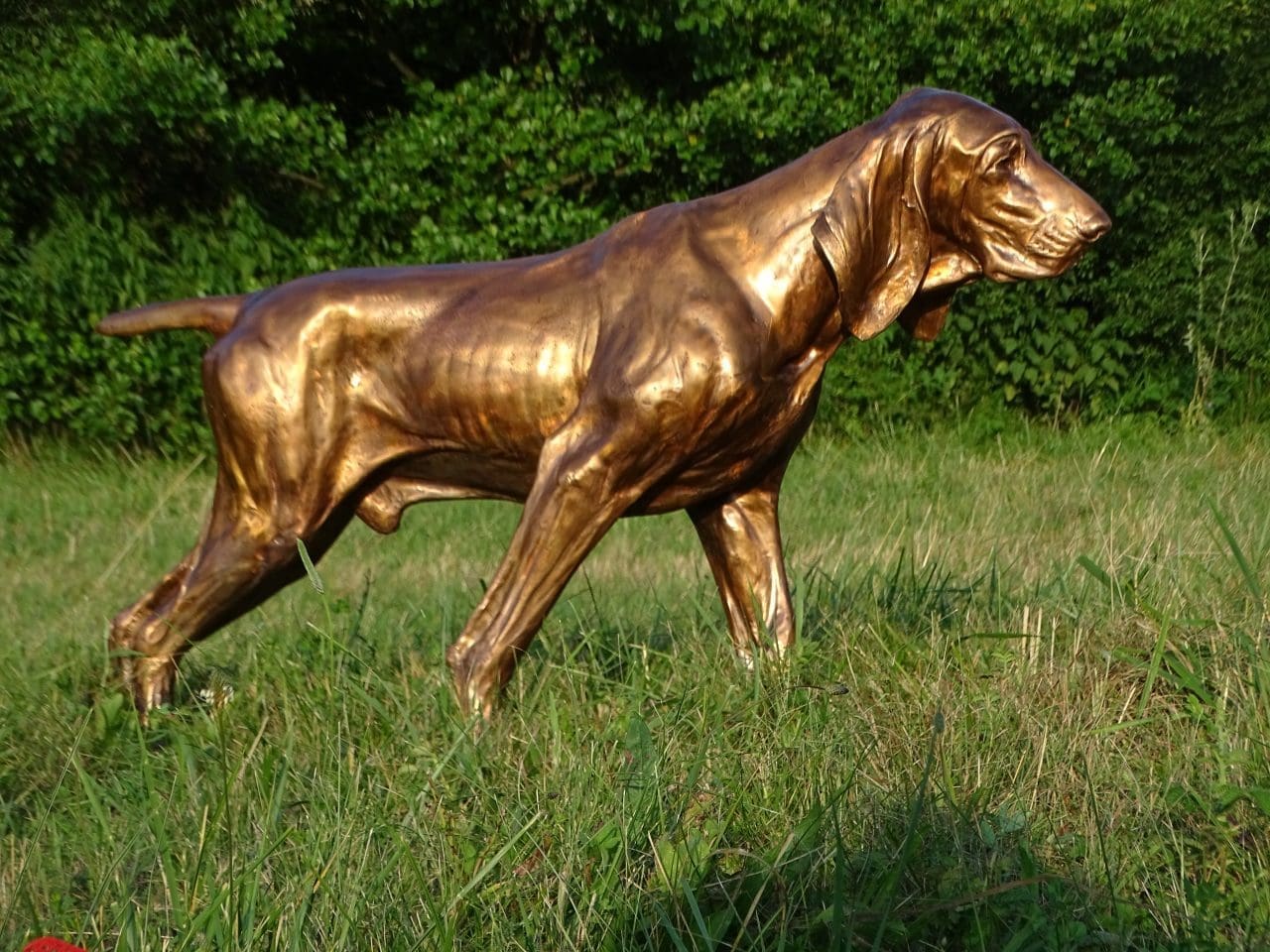 Large bronze Bracco Italiano dog sculpture Icaro by Anna Tölgyesi Poós