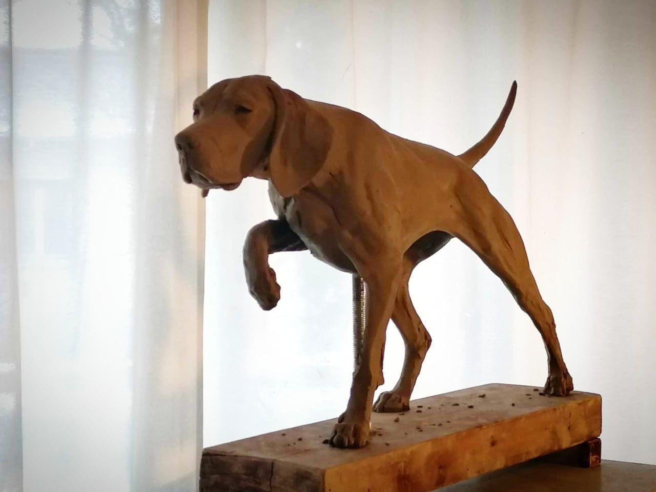 Bronze Hungarian Vizsla dog sculpture On Point by Anna Tölgyesi Poós