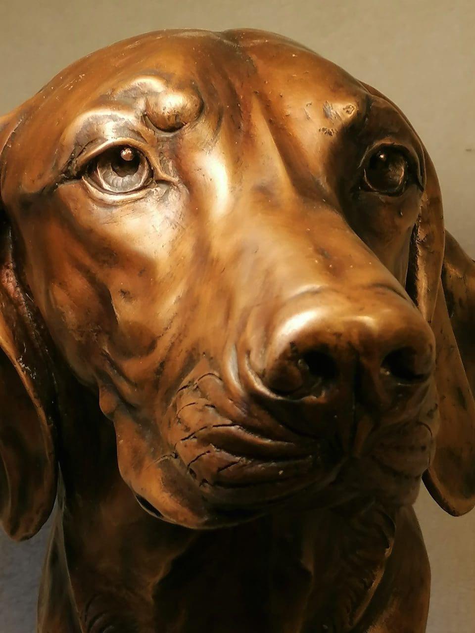 Hungarian Vizsla bronze bust sculpture by Anna Tölgyesi Poós