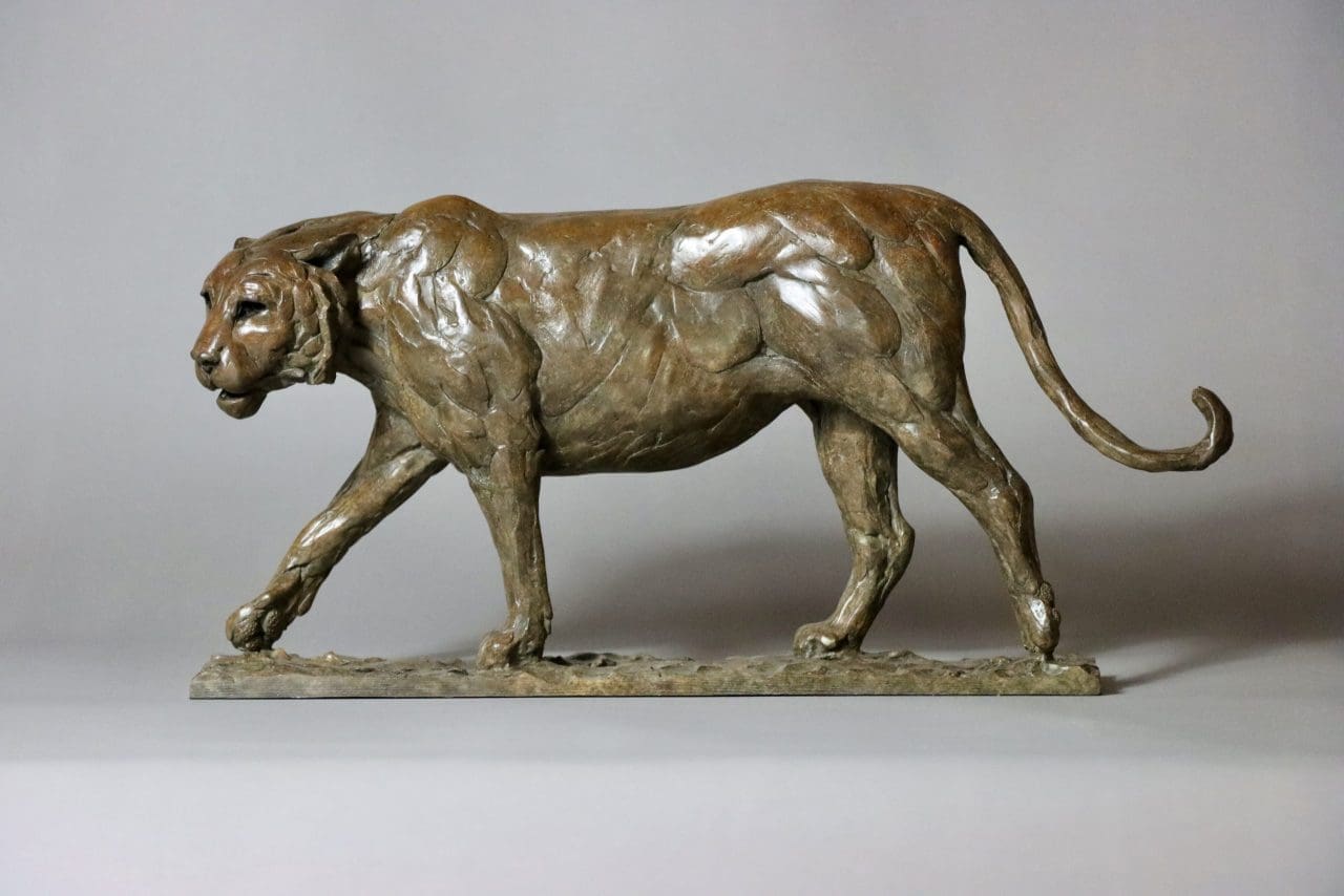 Bronze prowling tiger sculpture by Edward Waites