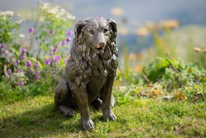 Bronze sitting Border Collie sculpture by Tanya Russell