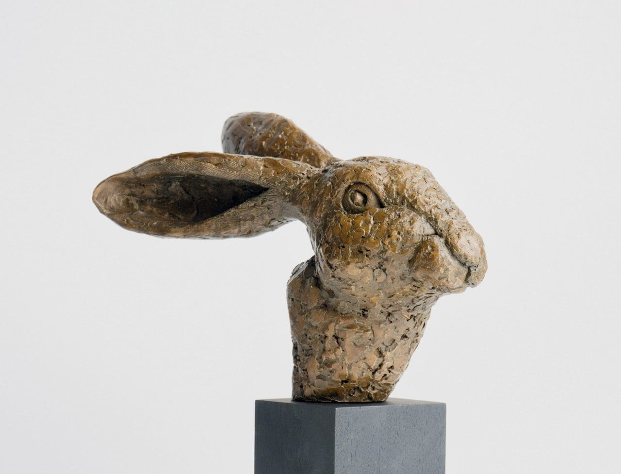 Relaxed hare head sculpture in bronze resin by Marie Shepherd, contemporary animal art.