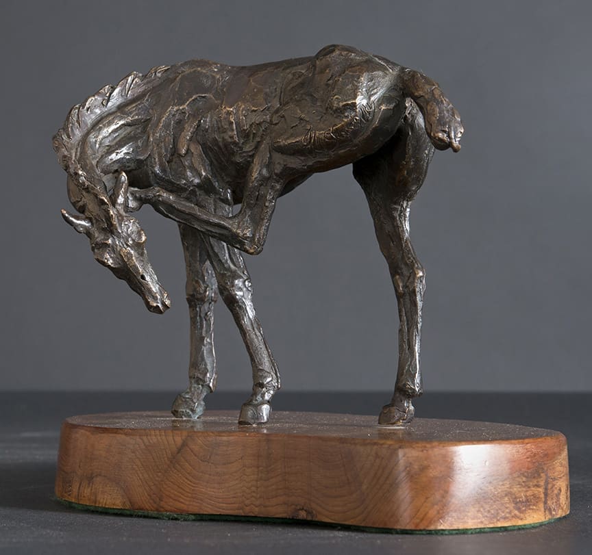 Bronze foal sculpture scratching its leg by Jan Sweeney