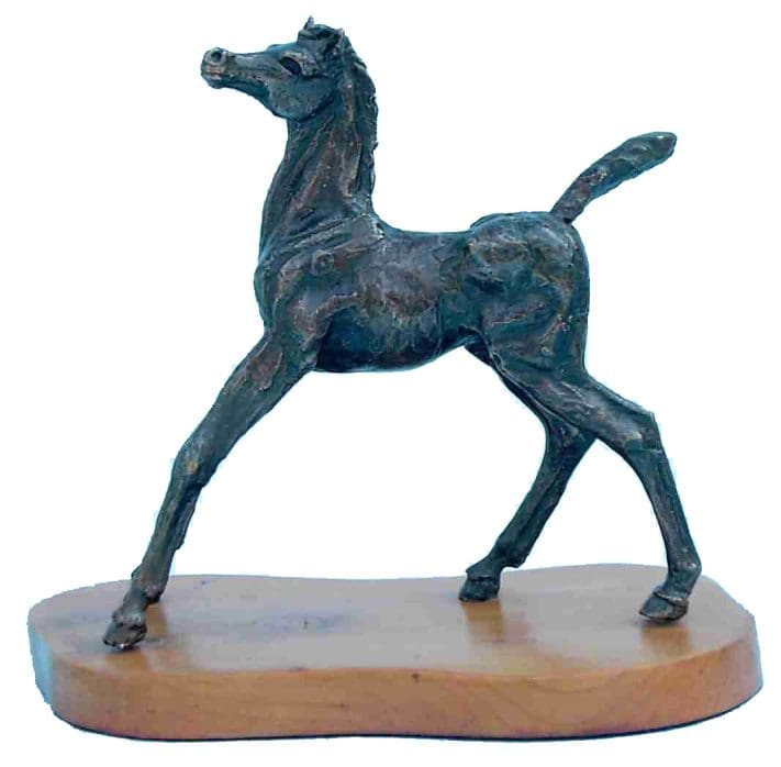 Bronze foal sculpture in an alert startled pose by Jan Sweeney