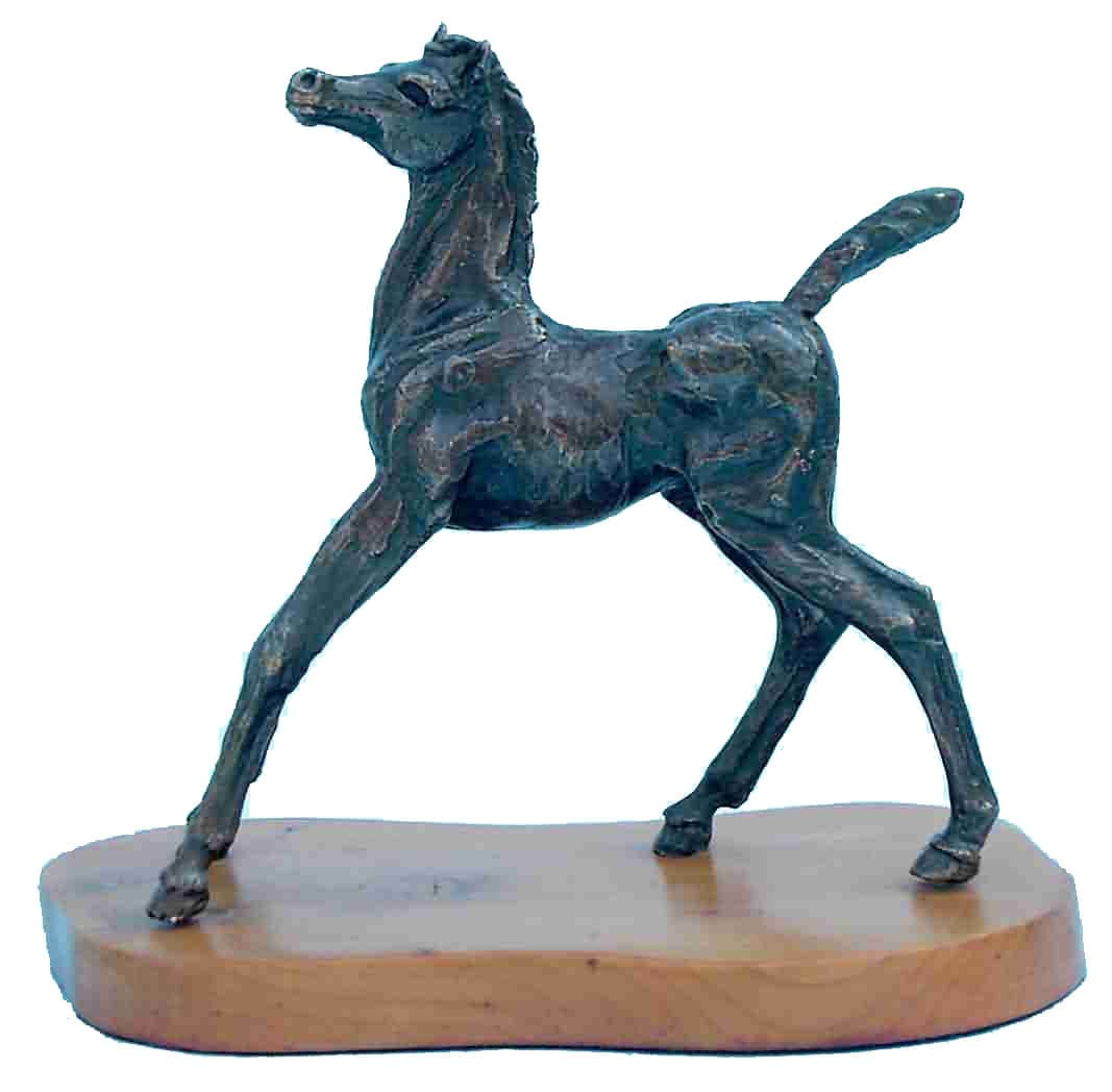 Bronze foal sculpture in an alert startled pose by Jan Sweeney