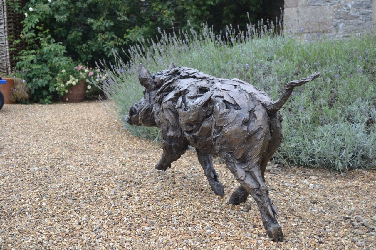 Running Wild Boar - Image 6