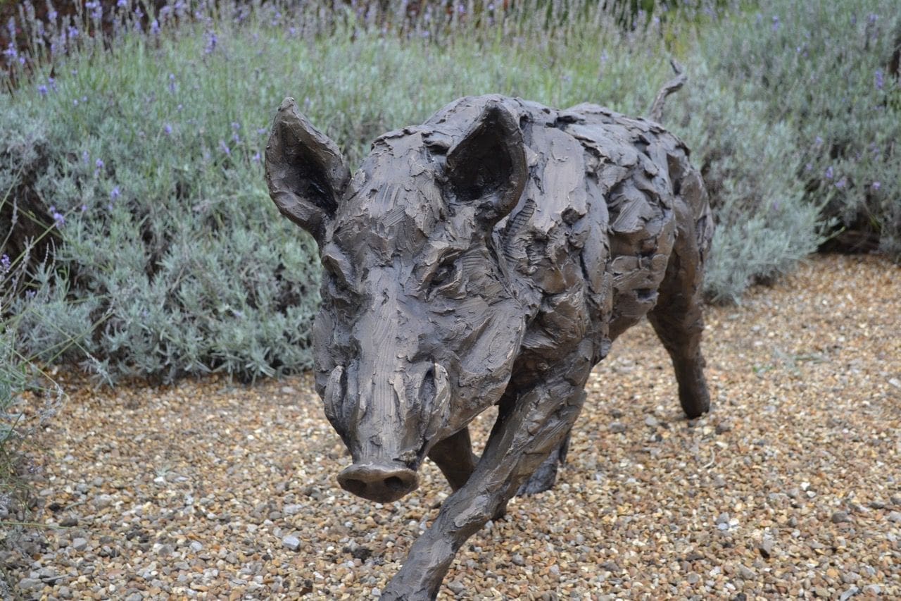 Running Wild Boar - Image 4