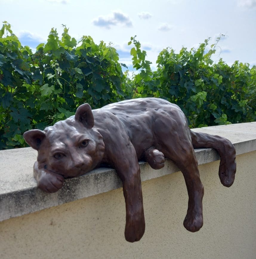 Catatonic (Cat Sleeping on Wall Sculpture)