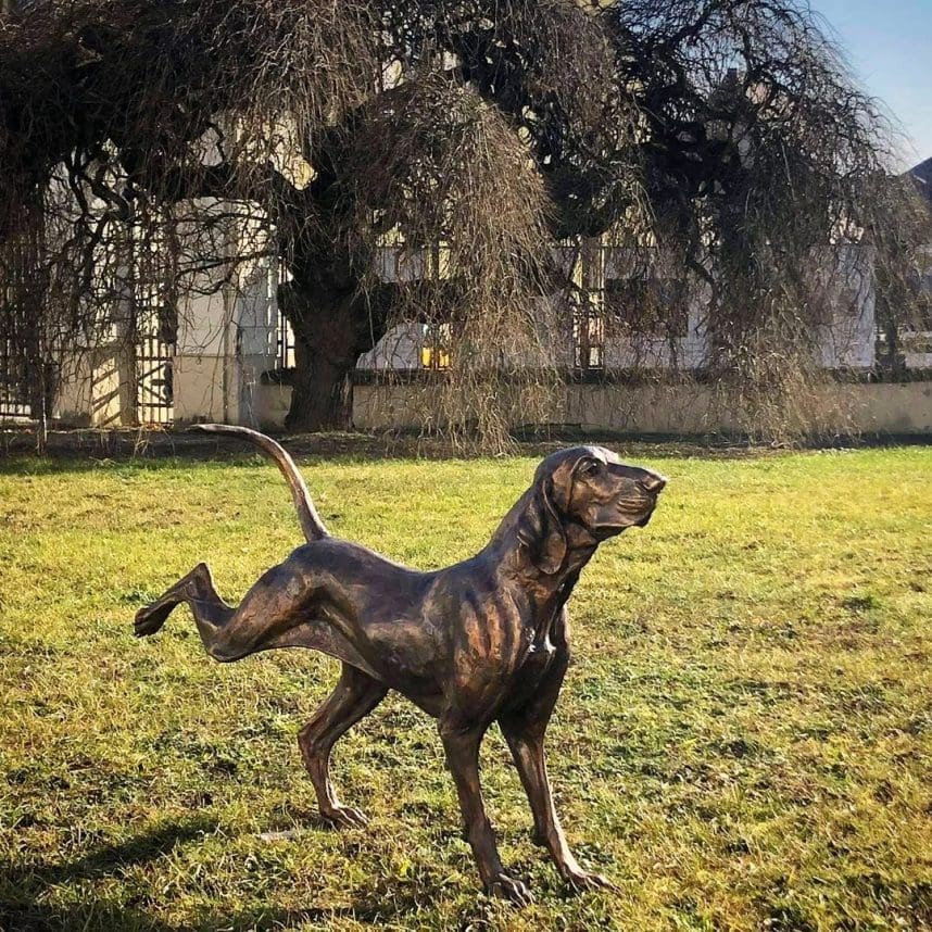 "Yoga" Bracco Italiano Stretching Bronze Dog Sculpture,