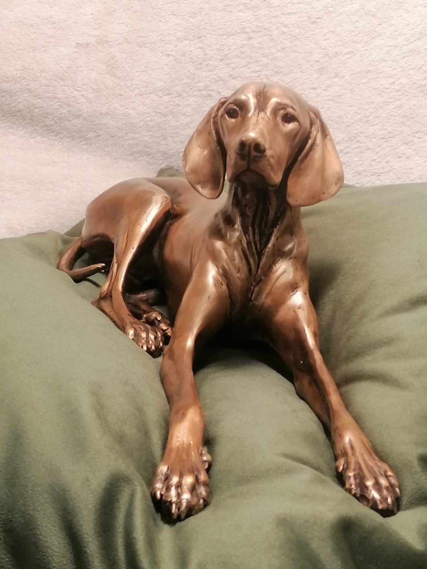 "Velvet" Lying Hungarian Vizsla Little Bronze Sculpture,