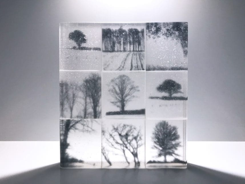 'Memories' Great Trees on Glass Panels Sculpture