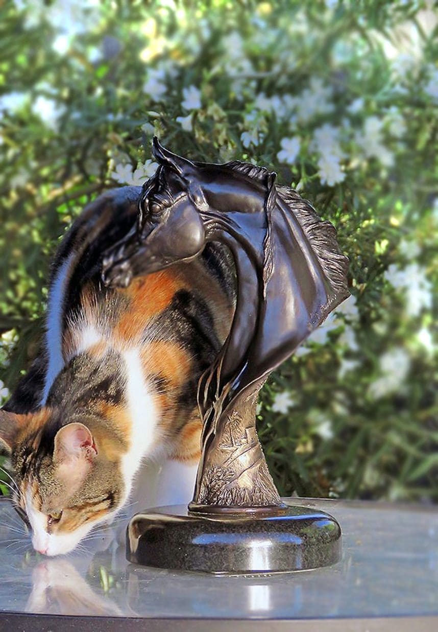 Oasis Bronze Equine Head Sculpture