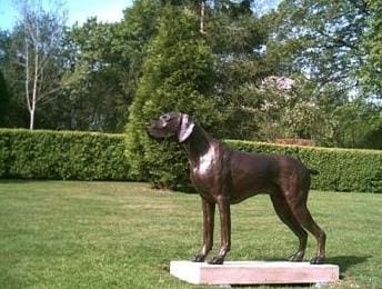 German Short Haired Pointer (Bronze Sculpture)