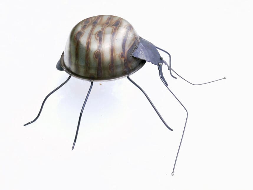 Weevil - Image 3
