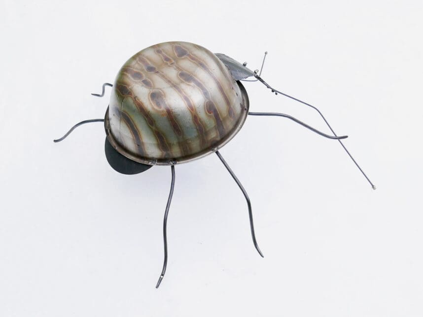 Weevil - Image 4
