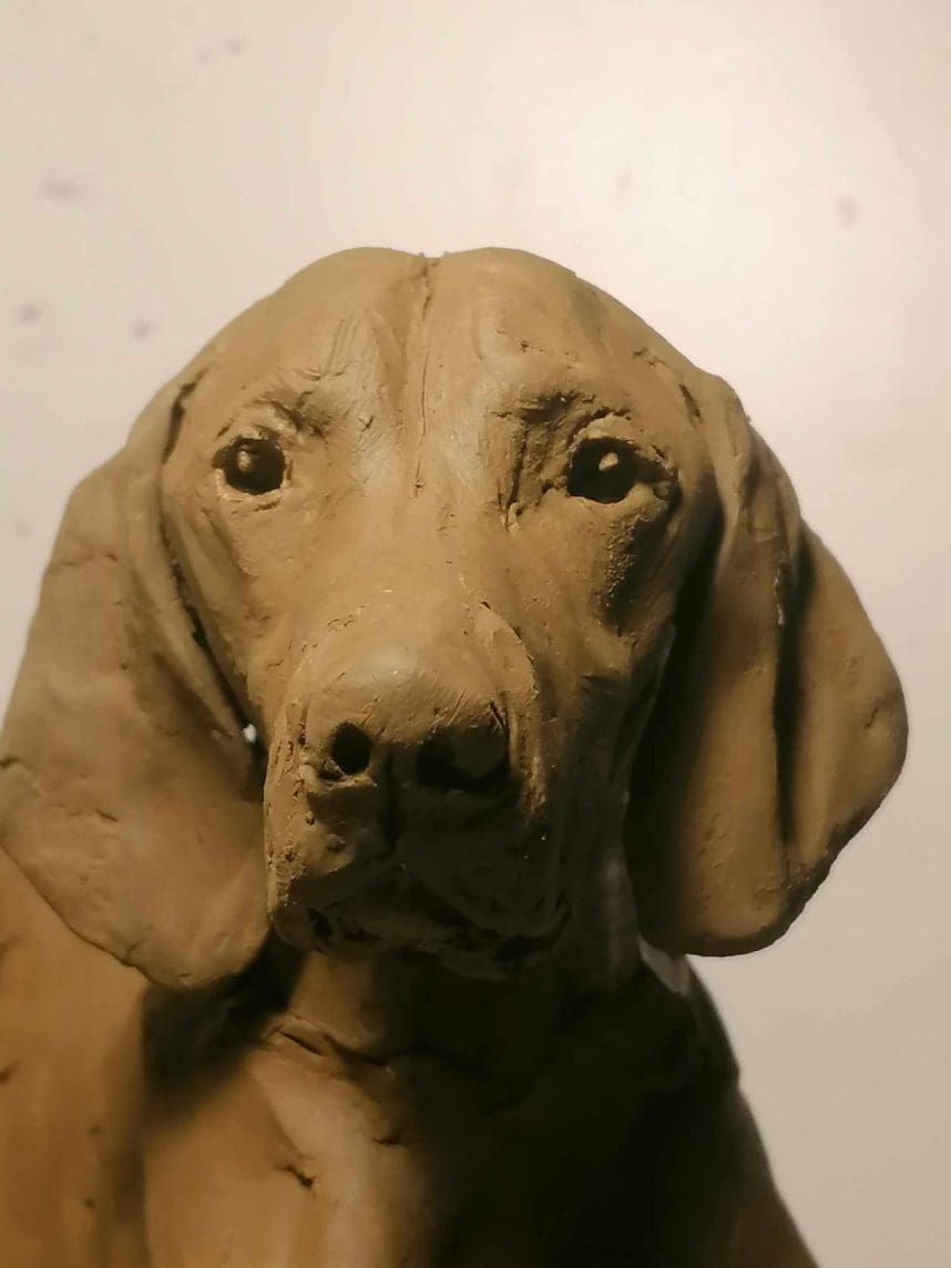 "Velvet" Lying Hungarian Vizsla Little Bronze Sculpture, - Image 8