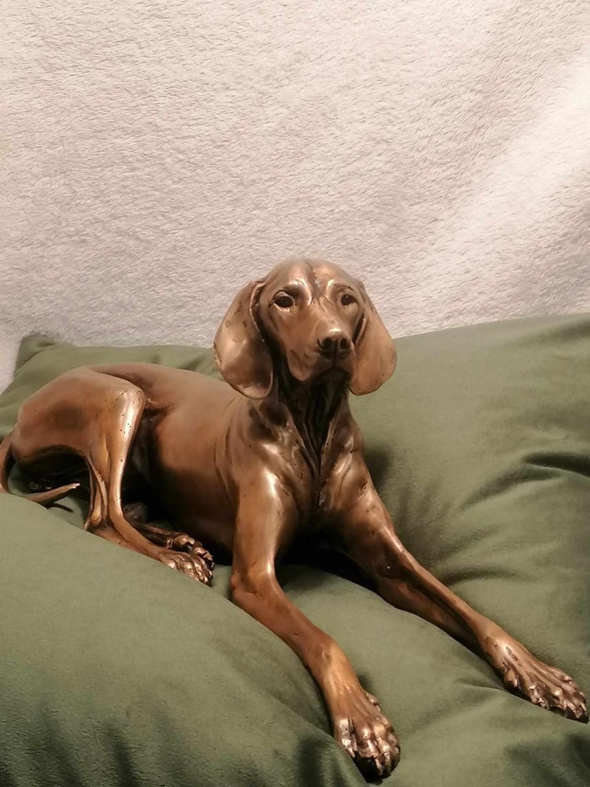 "Velvet" Lying Hungarian Vizsla Little Bronze Sculpture, - Image 5