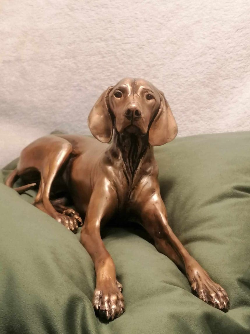 "Velvet" Lying Hungarian Vizsla Little Bronze Sculpture, - Image 3