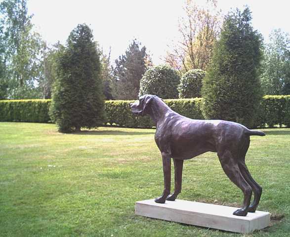German Short Haired Pointer (Bronze Sculpture) - Image 3