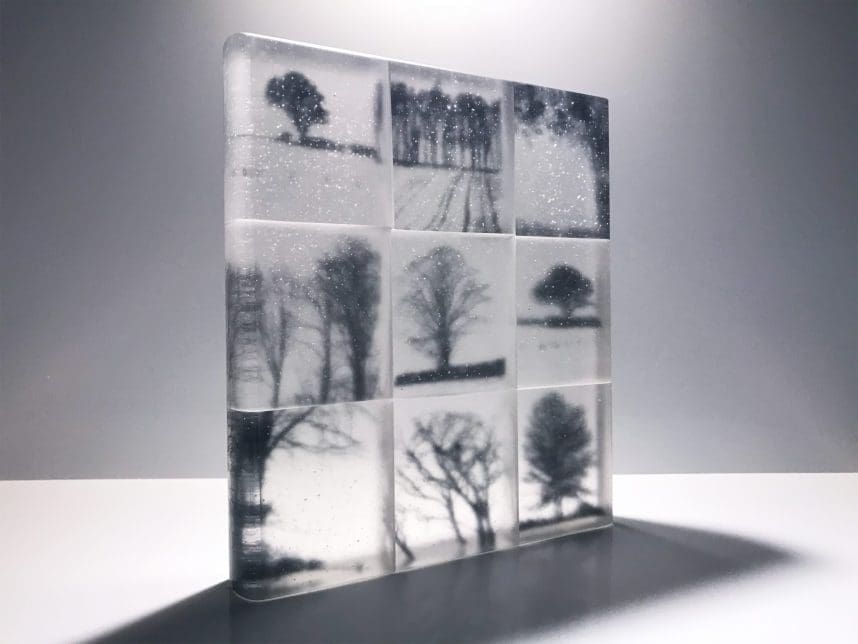 'Memories' Great Trees on Glass Panels Sculpture - Image 2