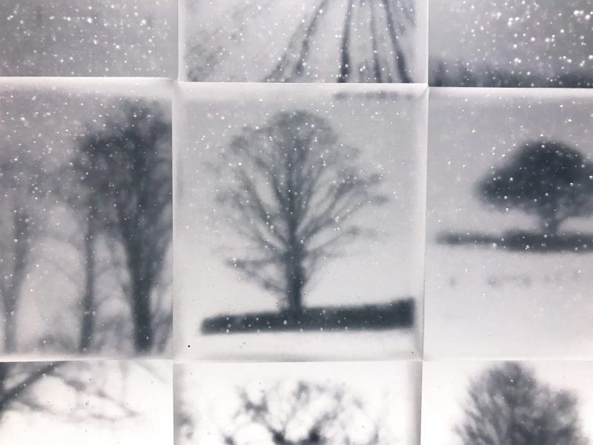 'Memories' Great Trees on Glass Panels Sculpture - Image 4