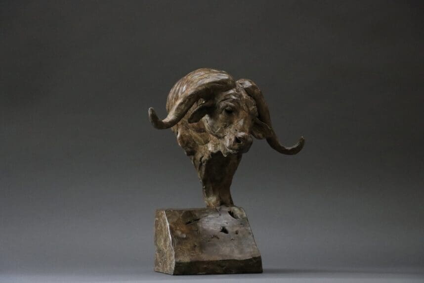 Buffalo Head - Image 3