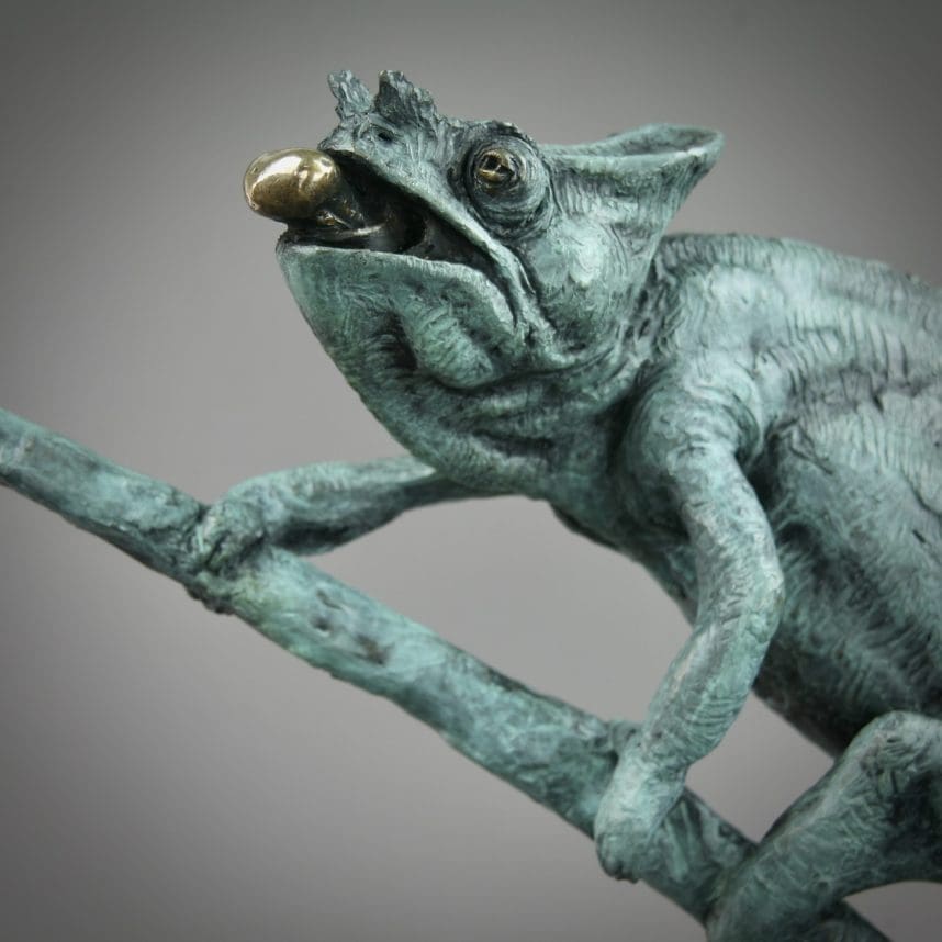 Chameleon - Image 27