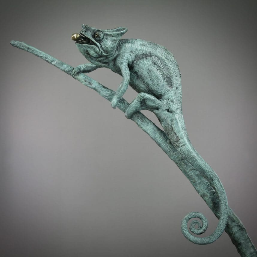 Chameleon - Image 25