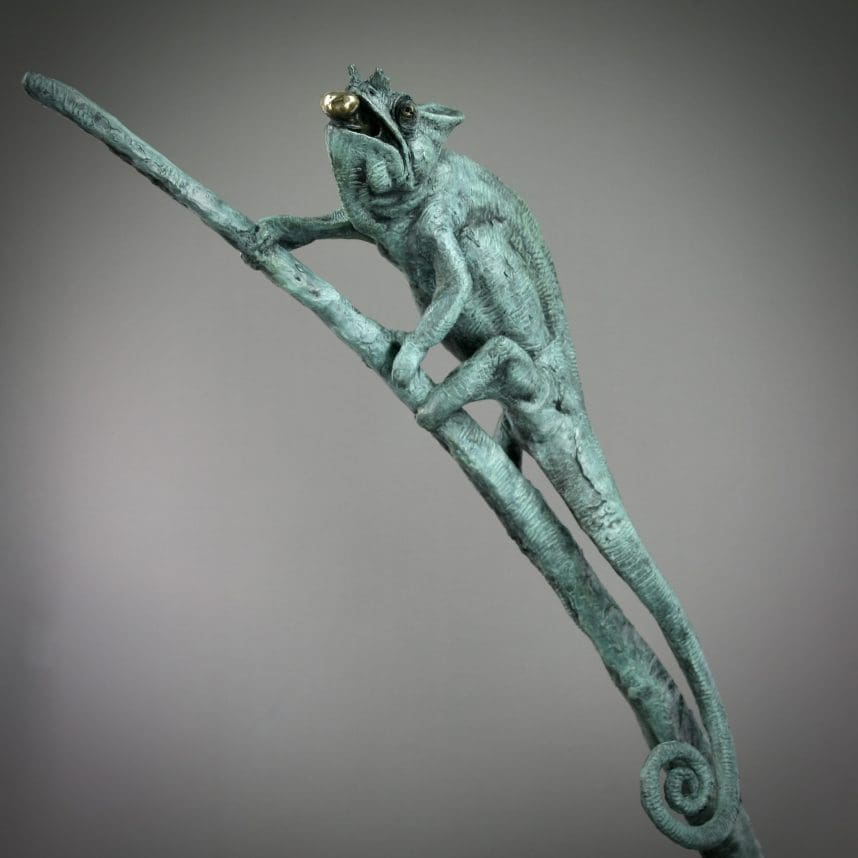 Chameleon - Image 24