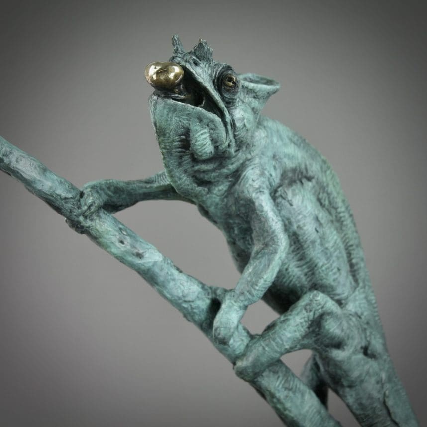 Chameleon - Image 23