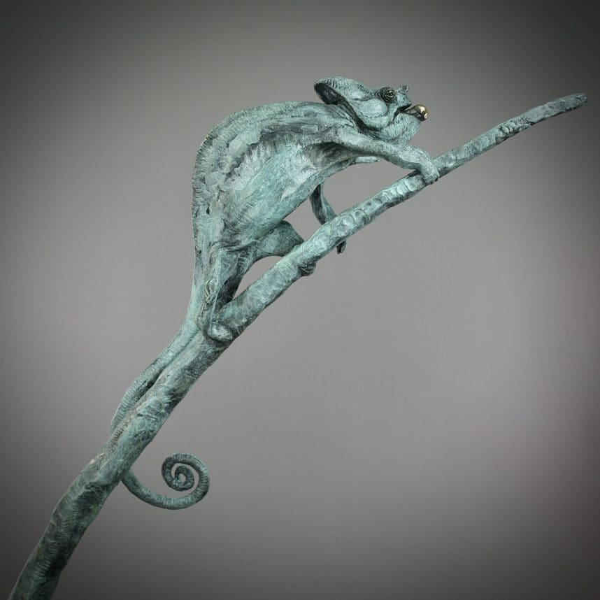 Chameleon - Image 20