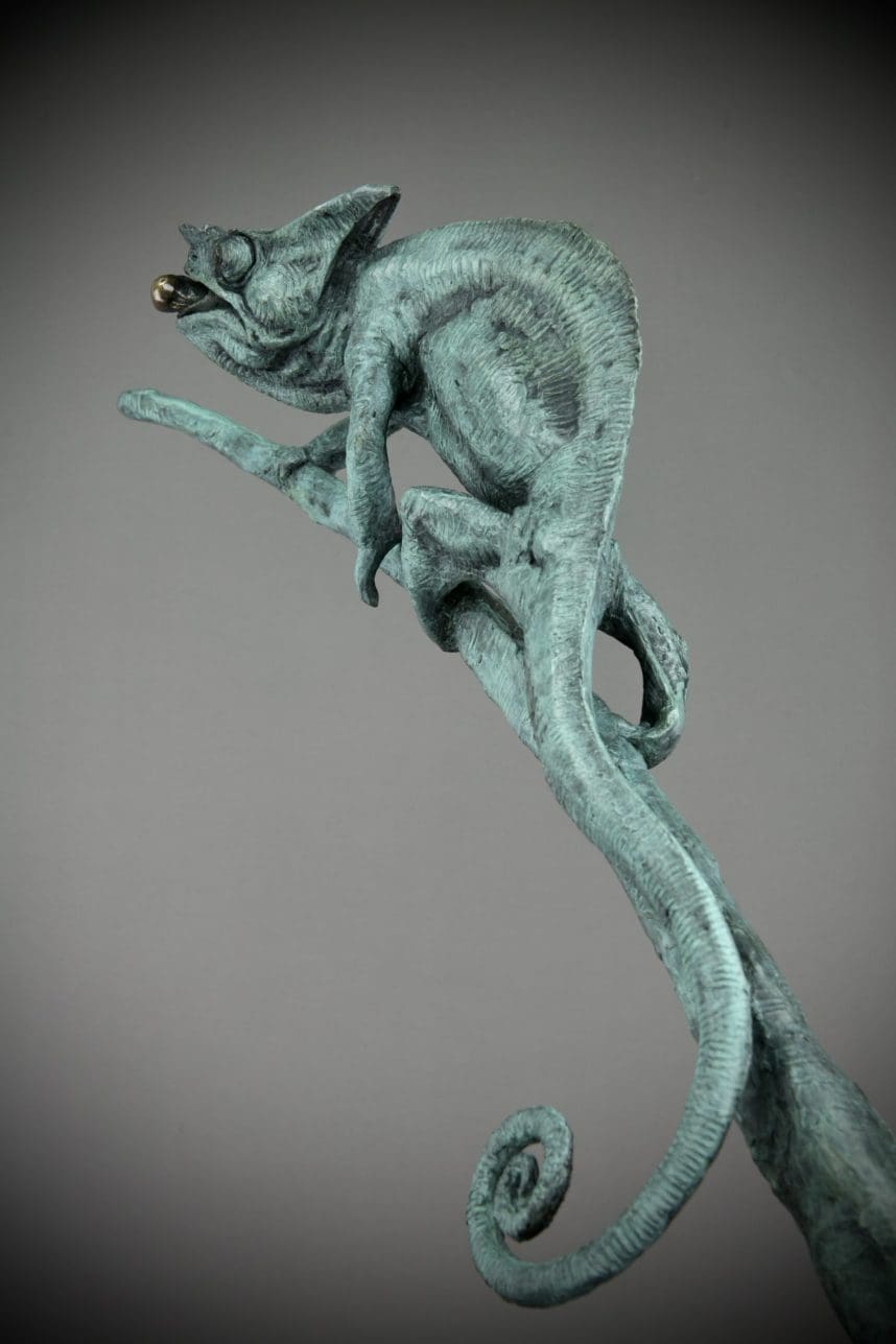 Chameleon - Image 14