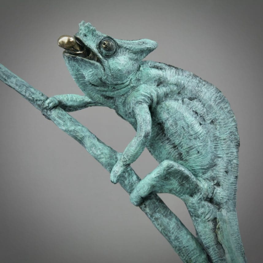 Chameleon - Image 11