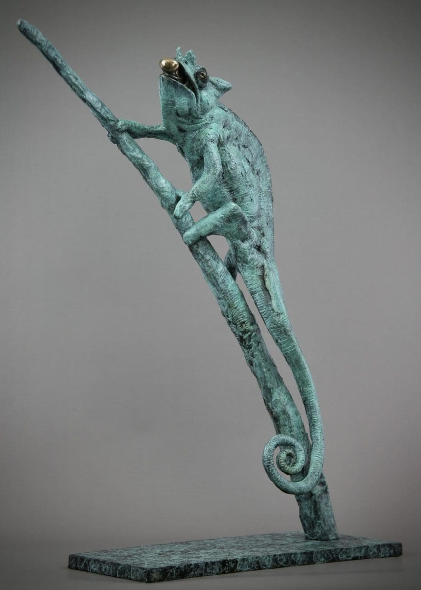 Chameleon - Image 10