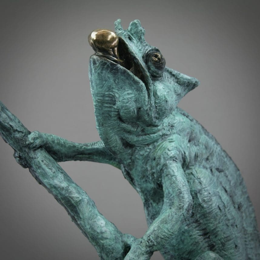 Chameleon - Image 9